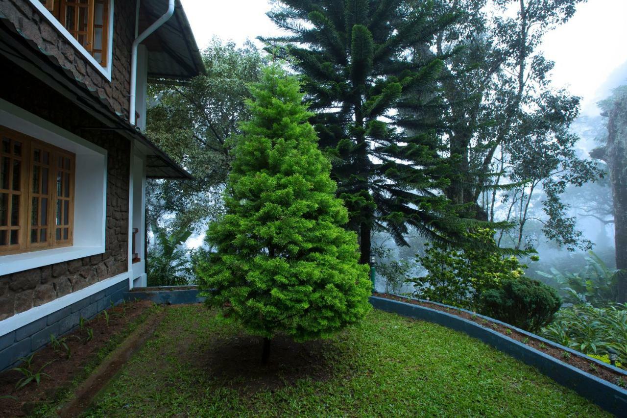 Bracknell Forest Munnar Ngoại thất bức ảnh