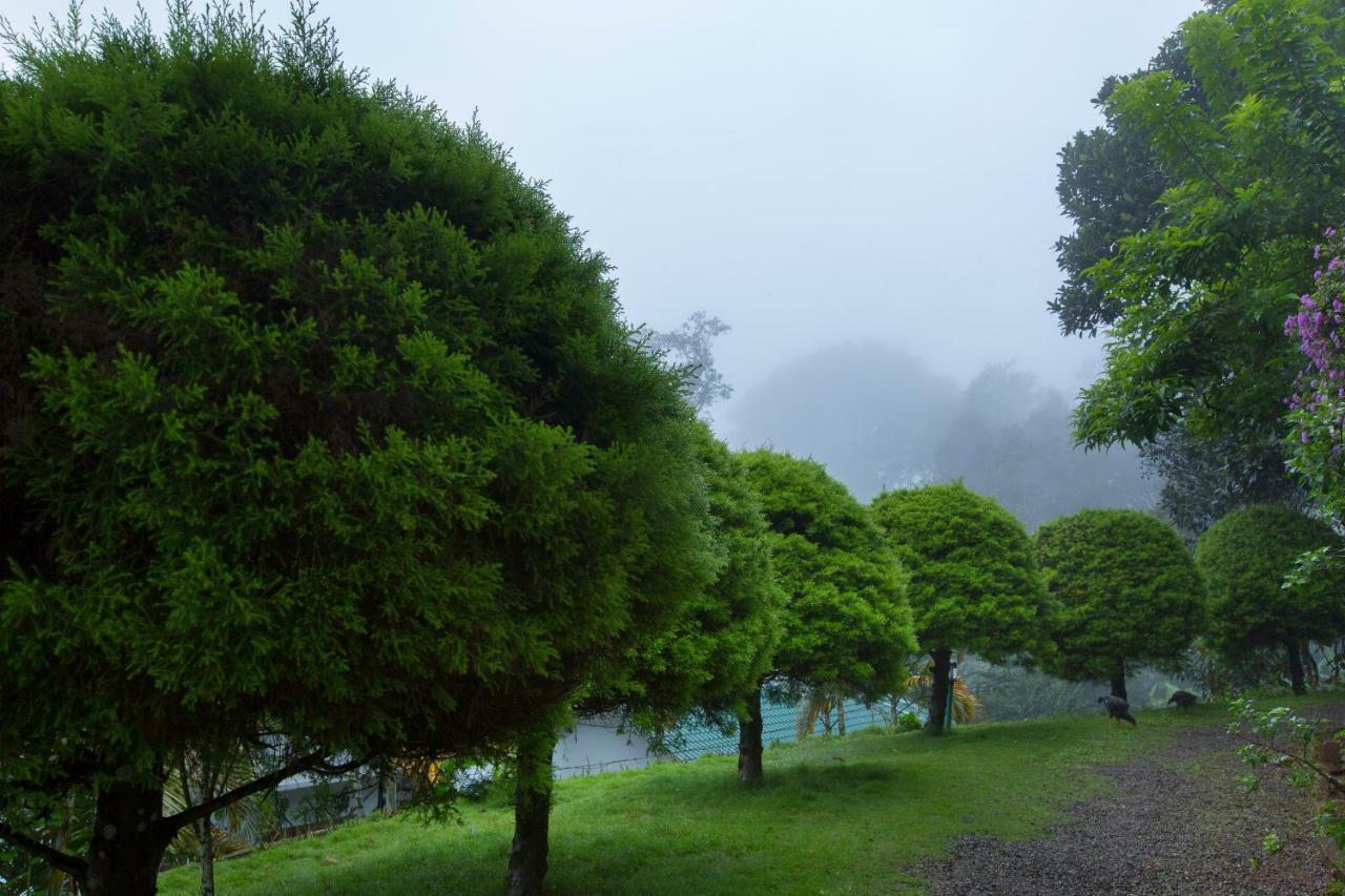 Bracknell Forest Munnar Ngoại thất bức ảnh