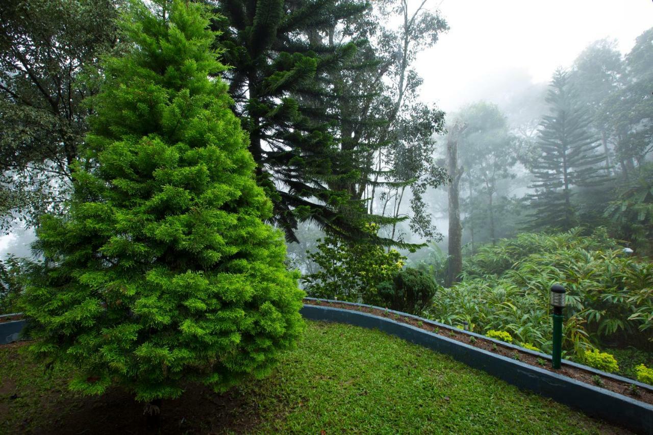 Bracknell Forest Munnar Ngoại thất bức ảnh
